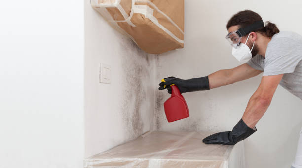 Professional Mold Inspection And Testing technician working in Maywood, NJ